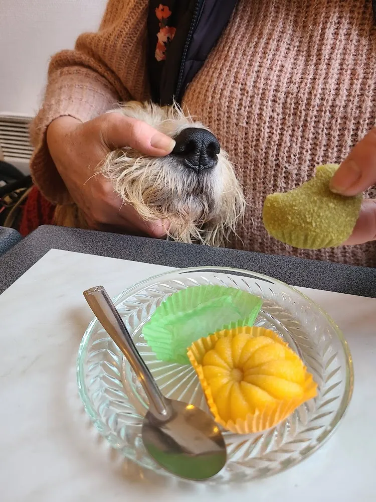 Malheureusement Ils N'acceptent Plus les Chiens c'est Donc Fini les Sushi Après Le Marché